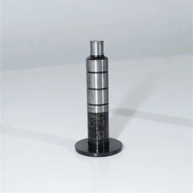 Special customized punching die 5(001)